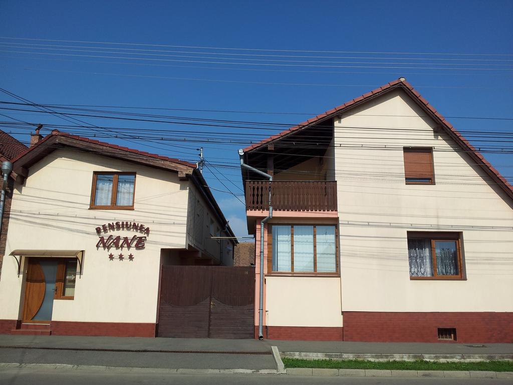 Pensiunea Nane Sibiu Exterior photo